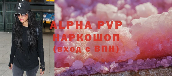 сатива Ельня