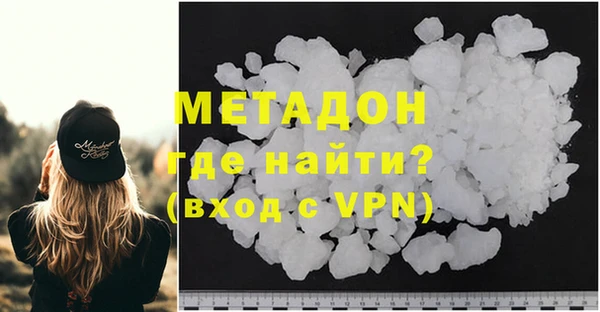 сатива Ельня