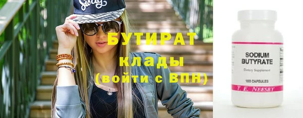 сатива Ельня