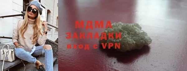 сатива Ельня