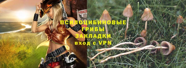 mdpv Елабуга