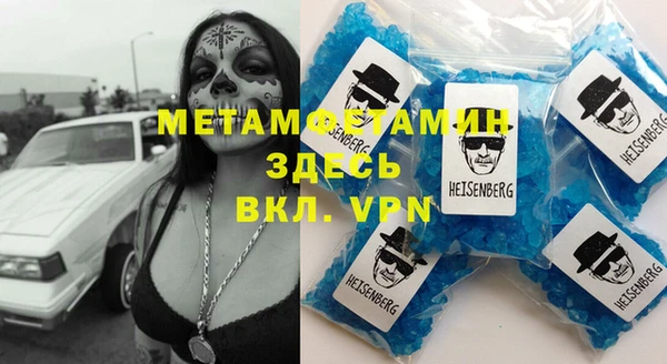 сатива Ельня