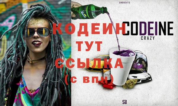 сатива Ельня
