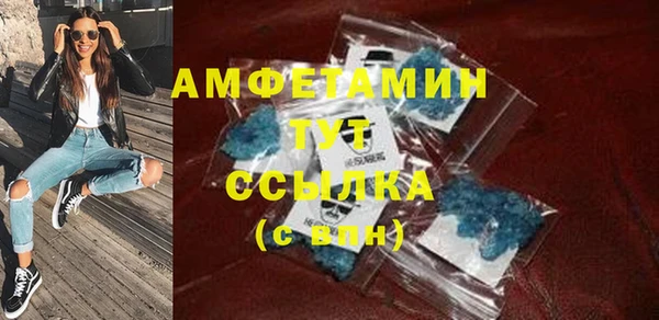 сатива Ельня