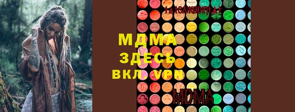 сатива Ельня