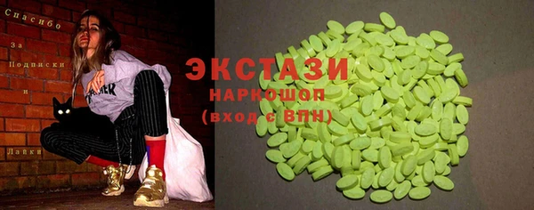 сатива Ельня