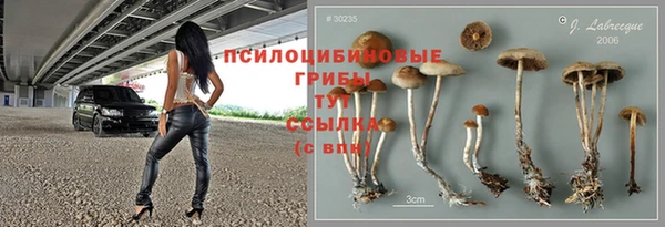 сатива Ельня