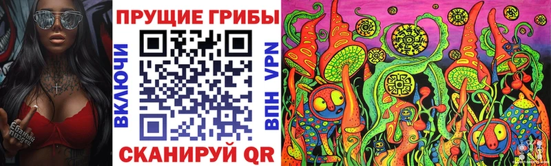 цена   Славянск-на-Кубани  Псилоцибиновые грибы мицелий 