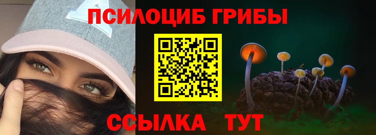 Псилоцибиновые грибы GOLDEN TEACHER  Вход с VPN  купить  цена  Славянск-на-Кубани  Галлюциногенные грибы мицелий 